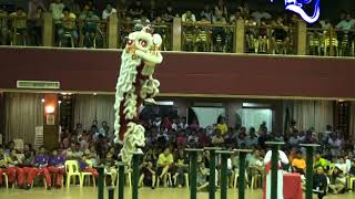 武吉巴西关圣宫龙狮团 Kun Seng Keng Lion and Dragon Dance Association