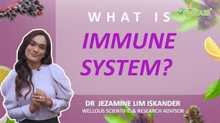 Wellous Dr Jezamine   What is Immune System