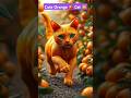 Cute Orange 🍊 Cat 😺 08 #catvideos #catlover #cat #orange #shorts