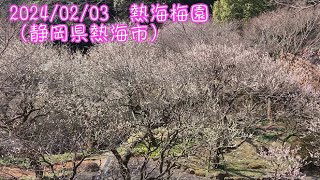 （参考）2024/02/03　熱海梅園（静岡県熱海市）