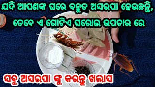 ଯଦି ଆପଣଙ୍କ ଘରେ ପ୍ରବଳ ଅସରପା ହେଉଛନ୍ତି, ତେବେ ଏହି ଗୋଟିଏ ଘରୋଇ ଉପାୟ ଦ୍ଵାରା ଅସରପା ମାନଙ୍କୁ କରନ୍ତୁ ପୁରା ଖଲାସ୍