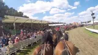 Titanen der Rennbahn 2015 * Quadrille 1 *