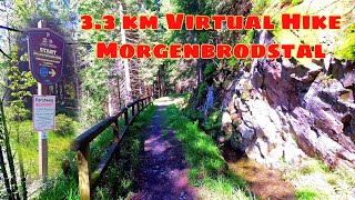 3.3km Long Virtual Scenery in Nature Along the Morgenbrodstal Ditch - Cardio Workout Entertainment