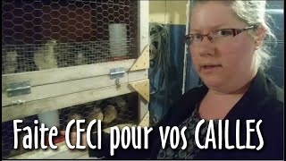 Faites CECI pour garder vos CAILLES en BONNE SANTÉ  #109