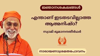 എന്താണ് ഇടതടവില്ലാത്ത ആത്മനിഷ്ഠ? | Swami Bhoomananda Tirtha