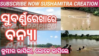 ସୁବର୍ଣ୍ଣରେଖା ନଦୀର ବନ୍ୟା//subarnarekha flood