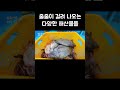 소문대로 다양한 물고기가 줄줄이 걸려 들어오는 섬 shorts