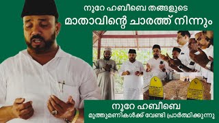 നൂറേ ഹബീബെ തങ്ങളുടെ മാതാവിന്റെ ചാരത്തുനിന്നും മുത്തുമണികൾക്ക് വേണ്ടി പ്രാർത്ഥിക്കുന്നു| #noorehabibe