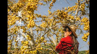 #1 第一个vlog| 美味油甘The first video back in the countryside | making delicious Indian gooseberry dishes