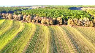 Parcels 1 \u0026 2 Three Hollow Rd  - 64 ACRES FOR SALE - Drone Footage