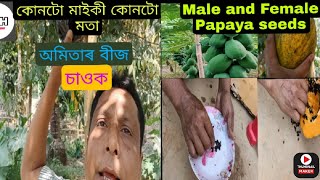 কোনটো মাইকী কোনটো মতা অমিতাৰ বীজ ঘৰত বহিয়ে চাব পাৰিব। Dalgoma Farmer Help