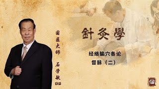 石学敏团队讲针灸学 - 33 经络腧穴各论   督脉（二）