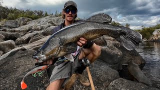 Murray cod fishing Australia