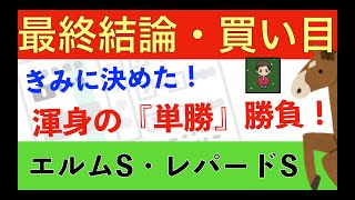 【☆前日４倍人気☆】素質馬がここで覚醒｜エルムS・レパードS