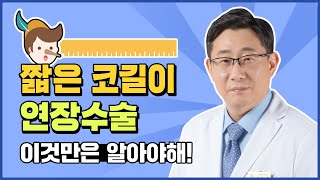 [압구정 정병훈성형외과] 짧은코길이 연장수술 꼭 알아야 할 사항!