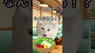 【猫ミーム】ファミレスでサラダ頼んだら『蜘蛛』が付いてきた日の話 #shorts #猫ミーム #猫meme