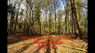 Landscape Photography - Hanningfield Reservoir