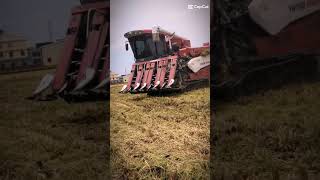 Yanmar harvester machine yh 7130 #agriculture #iseki #kubota #yanmar