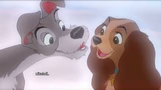 lady and the tramp edit ♡