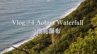 Vlog #4 Aohua Waterfall 澳花瀑布 | Formosan Mountain Dogs can swim? 台灣犬也會游泳？