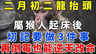 60年一次！二月初二龍抬頭，屬猴人起床後切記要做3件事，再倒霉也能逆天改命，從此有錢、有權、有貴人！【佛語禪音】#生肖 #命理 #運勢 #屬相 #風水