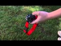 How to Install a PetSafe® Wireless Dog Fence