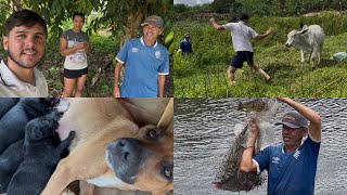 LOOK HOW SMART THESE DOGS ARE | TOP FISHING WITH THEM!!!