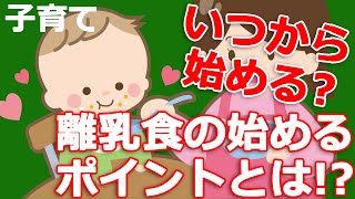 離乳食はいつから始める？（子どもの食と栄養より）