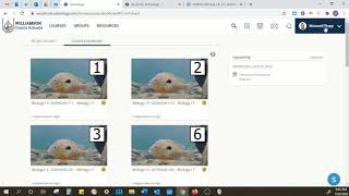 Schoology Basics Tutorial