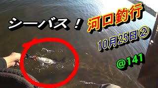 【シーバス 河口釣行 10月25日➁ @141】九州の福岡県 北九州を中心に、おかっぱりをウロウロして釣りをしています。