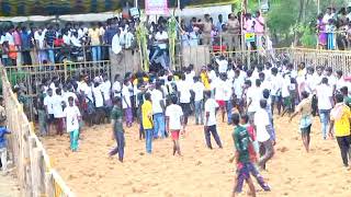 Jallikattu Pullambadi Dharman