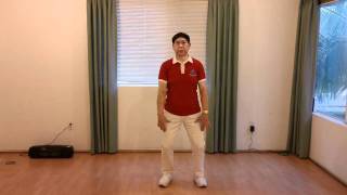 Lin Housheng Shibashi Movement Sample 1