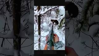 The Ultimate Challenge: Tracking the Cunning Fox #huntingrussia #foxhunting #охота #wildhunting