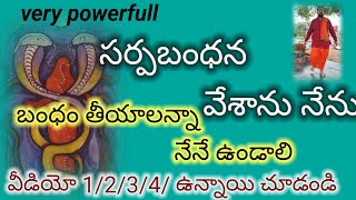 నేను శ్రీశైలంలో నాగదరా బంధన తంత్ర పూజని నిర్వహించడానికి వచ్చాను ఇక్కడ ఒక అద్భుతమైన పుట్ట నాకు