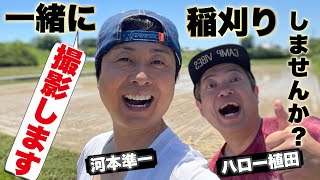 【B'z稲葉浩志さんのモノマネB'z芸人 ハロー植田×次長課長河本】10/6 10/7一緒に稲刈りしませんか？！