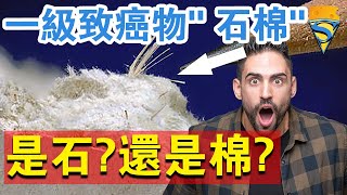 一級致癌物“石棉”，被譽為可吸入的“鋼針”，生活中無處不在！它是石還是棉？