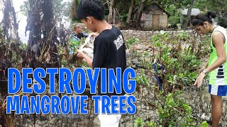 BAKIT NAMAMATAY ANG PAGATPAT O MANGROVES? - Camotes Island - Vlog 125