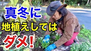 【今年〇〇をやります】年明けの植え付けには充分お気をつけ下さい　　　　　　　　　【カーメン君】【園芸】【ガーデニング】【初心者】