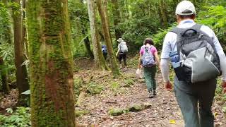 馬那邦山-天然湖登山入口-起登5