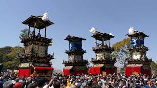 犬山祭2019　満開の桜の下で　UNESCO World cultural heritage