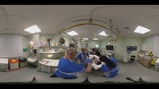 Endoscopy Simulation - VR360 - Upper GI Bleed