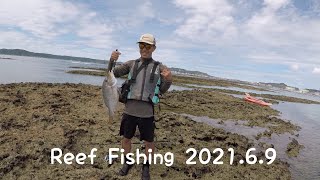 Reef Fishing 2021.6.9　　　　【ルアー】【タマン】