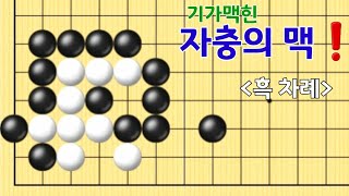 (한문제) 맥 문제풀이#20