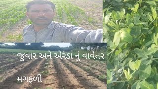 જુવાર અને એરંડાનું વાવેતર મગફળી//juvar and arndanu vavetar magphali//farmer life