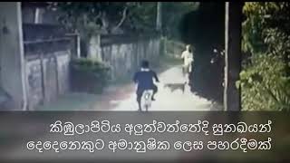 කිඹුලාපිටිය අලුත්වත්තේදි සුනඛයන් දෙදෙනෙකුට අමානුෂික ලෙස පහරදීමක්