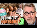 Comment fabrique-t-on le chocolat ? 🍫 🥚