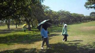 farmers golfer.wmv