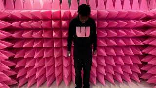 fakemink - Easter Pink instrumental (slowed + reverb)