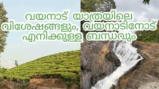 വയനാട് യാത്രയിലെ വിശേഷങ്ങളും  വയനാടിനോട് എനിക്ക് ഉള്ള ബന്ധവും😍| wayanad trip | family vlog #wayanad