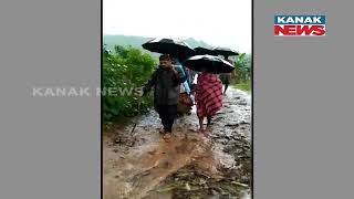 Pregnant Woman Carried To Hospital On Shoulder As Ambulance Did Not Reach Amid Bad Road In Koraput